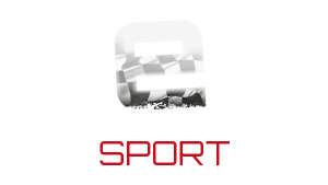 e-motorsport -logo.